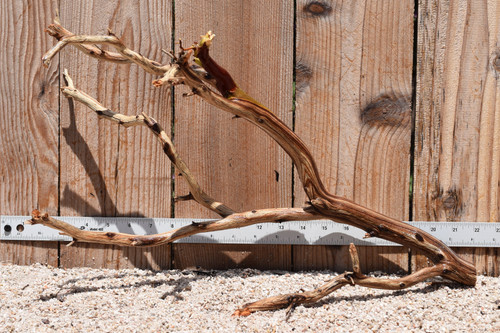 Manzanita 2542 21"x10"x12"