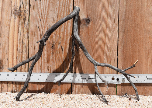 Uncleaned Manzanita 2564 16"x6"x12"