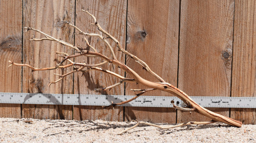 Manzanita #2776 23"x10"x12"