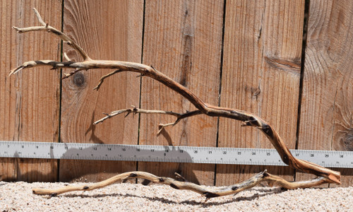 Manzanita #2780 22"x6"x12"