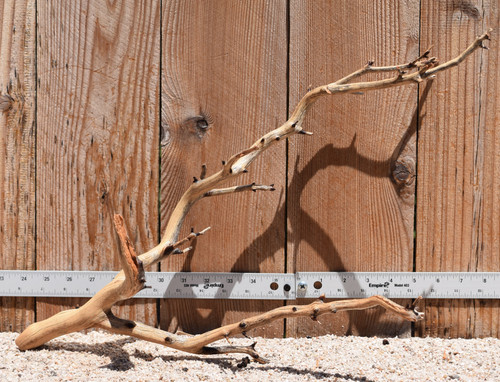 Manzanita #2782 21"x9"x13"