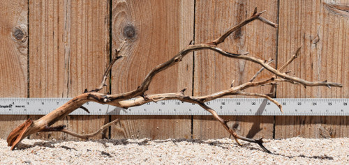 Manzanita #2789 20"x8"x9"