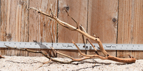 Manzanita #2791 23"x9"x10"