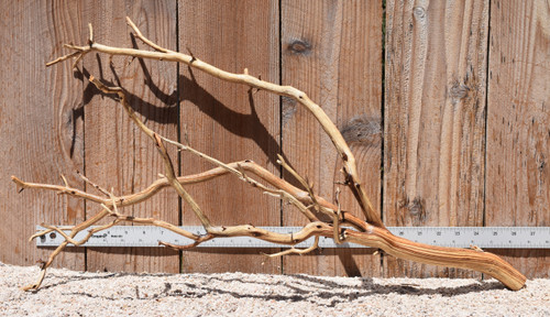 Xlg Manzanita #2799 327"x11"x15"