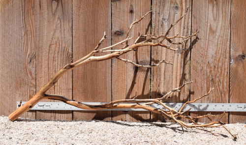 Xlg Manzanita #2801 31"x9"x17"