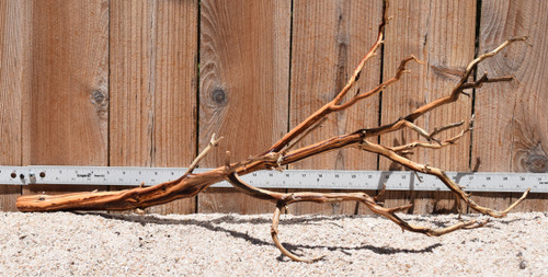Xlg Manzanita #2802 31"x12"x14"