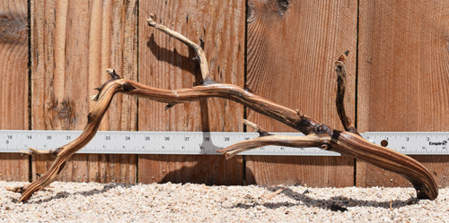 Manzanita #2916 21"x6"x9"
