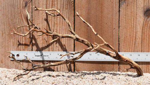Manzanita #2921 16"x8"x9"