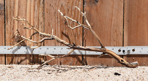 Manzanita #2922 18"x6"x9"