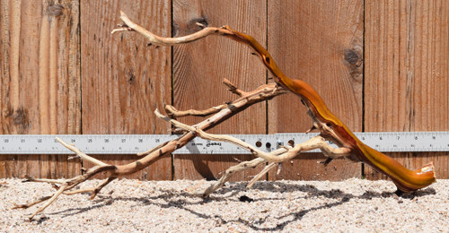 Manzanita #2925 23"x12"x11"