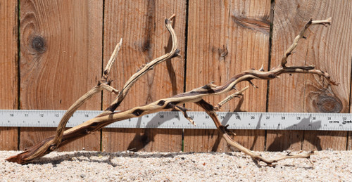 Manzanita #2926 21"x7"x9"