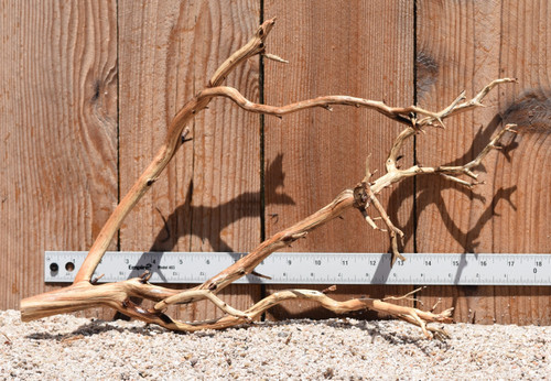 Manzanita #2930 18"x6"x11"