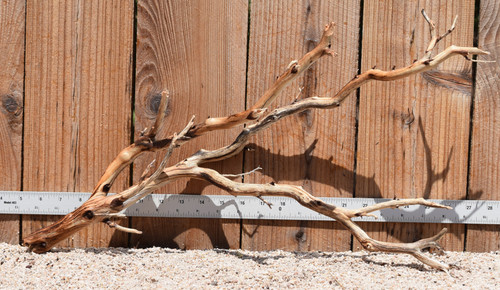 Manzanita #2932 23"x8"x12"