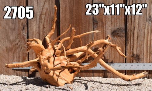 Spiderwood#2705 23"x11"x12"