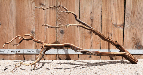 Xlg Manzanita #2967 30"x13"x15"