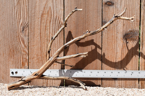 Manzanita #2997 18"x4"x12"