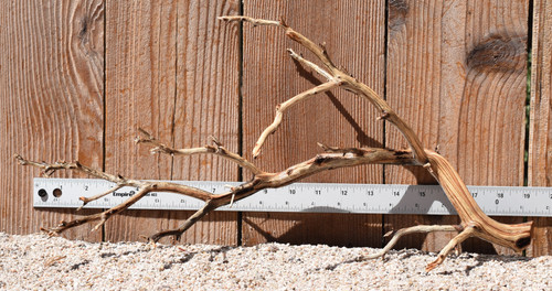 Manzanita #3003 19"x7"x9"