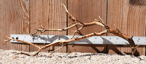 Manzanita #3012 19"x6"x8"