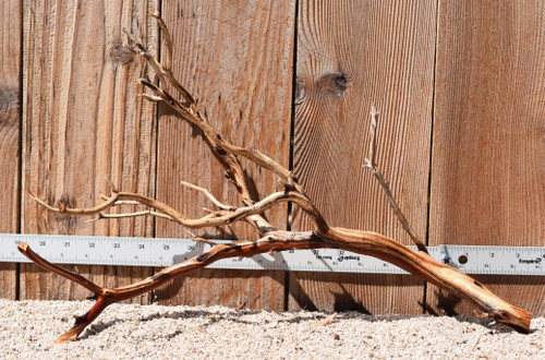 Manzanita #3013 19"x8"x12"