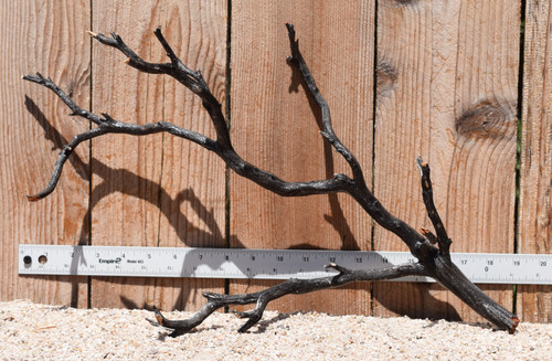 Uncleaned Manzanita 3031 19"x7"x12"