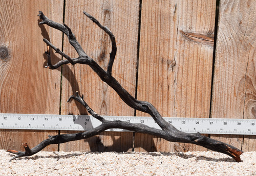 Uncleaned Manzanita 3033 16"x7"x11"