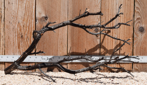 Uncleaned Manzanita 3035 22"x9"x12"