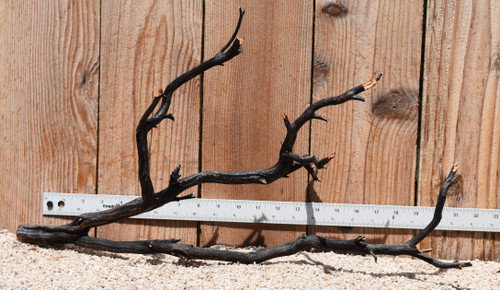 Uncleaned Manzanita 3043 22"x7"x11"
