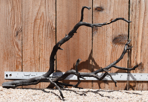 Uncleaned Manzanita 3046 21"x9"x13"