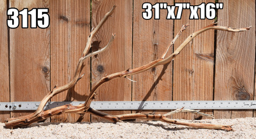 Xlg Manzanita #3115 31"x7"x16"
