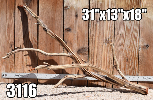 Xlg Manzanita #3116 31"x13"x18"