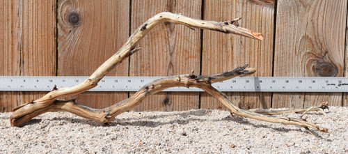 Manzanita #3152 23"x12"x9"