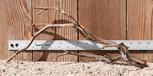 Manzanita #3165 16"x7"x7"