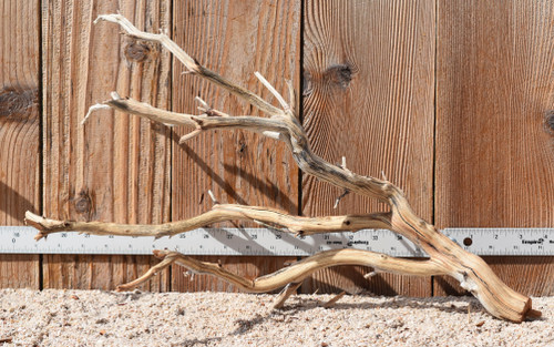 Manzanita #3169 21"x10"x13"