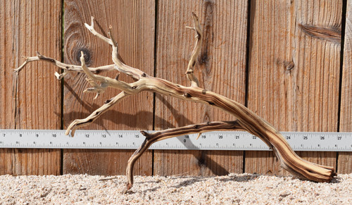 Manzanita #3170 19"x7"x11"