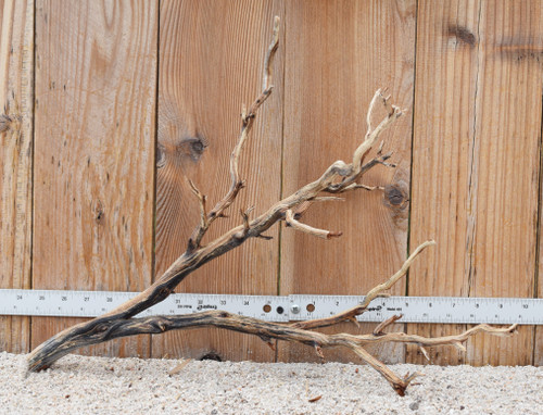 Manzanita #3191 20"x10"x15"
