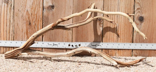 Manzanita #3302 24"x9"x11"