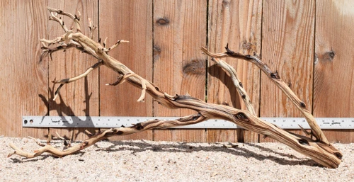 Xlg Manzanita #3347 31"x13"x15"