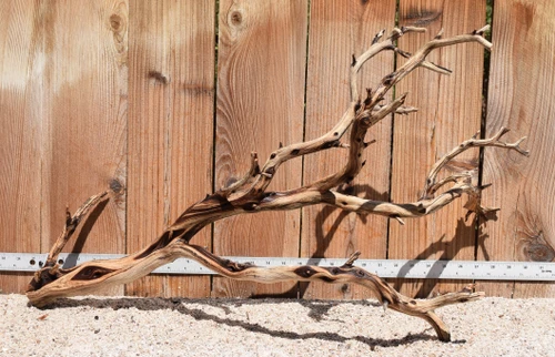 Xlg Manzanita #3348 30"x14"x18"