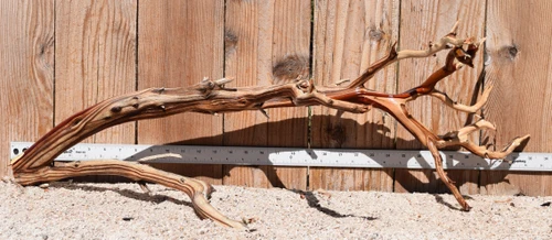 Xlg Manzanita #3579 32"x12"x12"