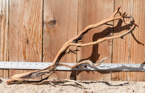 Manzanita #3634 20"x7"x13"