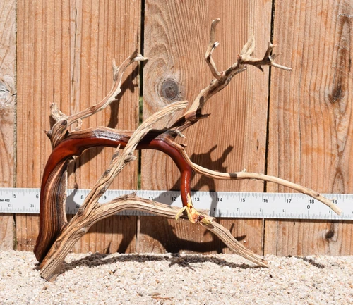 Manzanita #3644 13"x9"x11"