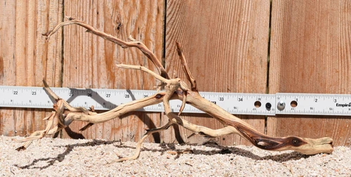 Manzanita #3646 16"x7"x8"