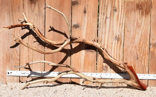 Xlg Manzanita #3843 30"x11"x18"