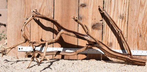 Xlg Manzanita #3847 31"x15"x14"