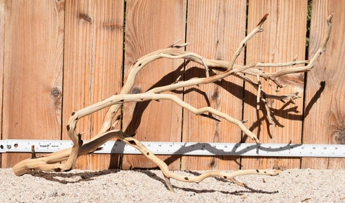 Xlg Manzanita #3848 29"x14"x14"