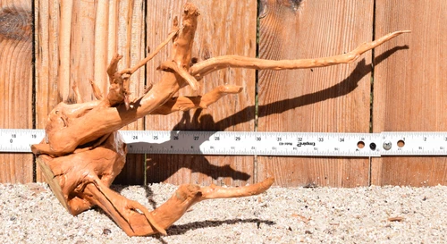 Spiderwood#3910 18"x11"x10"