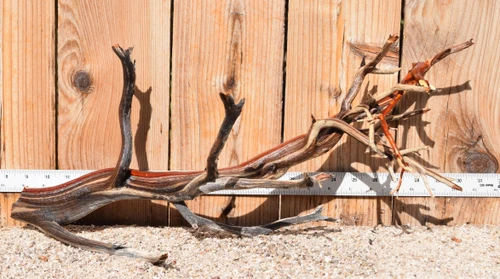 Manzanita #3988 22"x10"x10"
