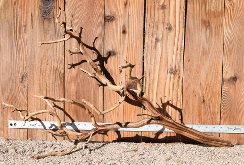 Xlg Manzanita #4038 31"x14"x18"