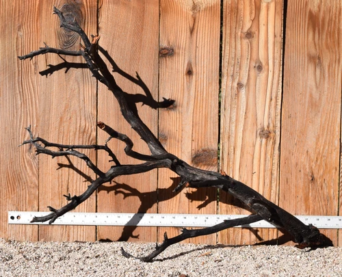 Xlg Manzanita #4042 29"x12"x21"