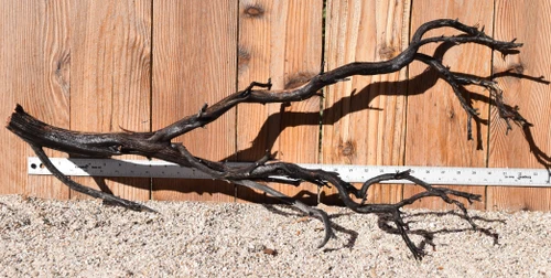 Xlg Manzanita #4044 30"x12"x13"